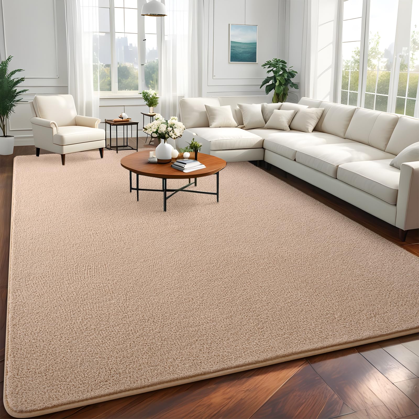 Modern Area Rugs for Bedroom Livng Room, 4x6 Feet Beige Memory Foam Solid Indoor Carpets, Machine Washable Rugs Minimalist Low Pile Rug for Kids Room Nursery Home decor, Beige