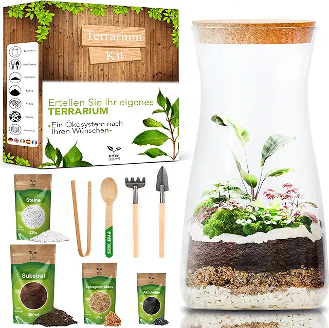 Flaschengarten Komplettset - Terrarium Starter Kit mit Werkzeug für Pflanzen
