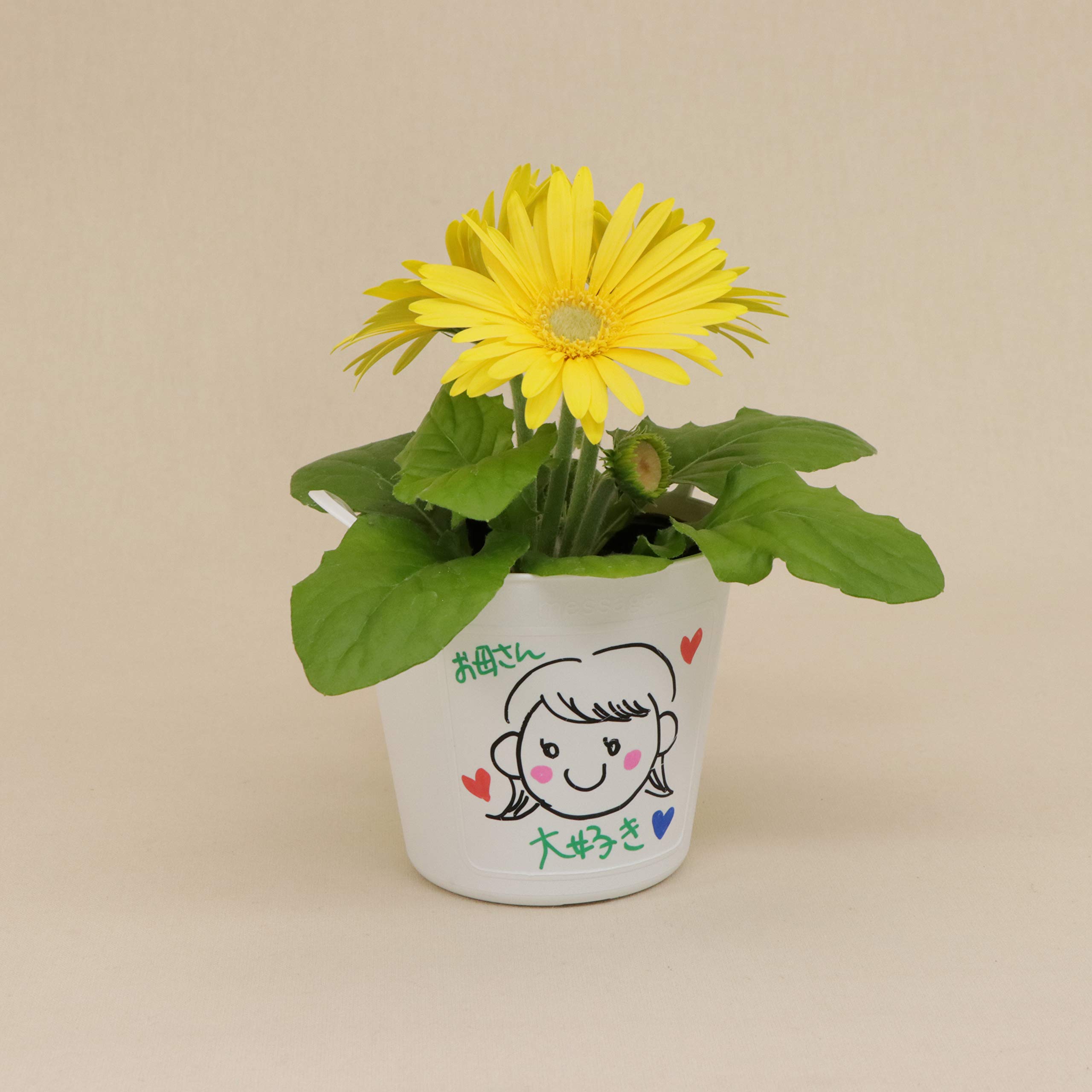 Amazon | SANKO PRODUCT メッセージポット3.5号 底穴無し プラスチック 
