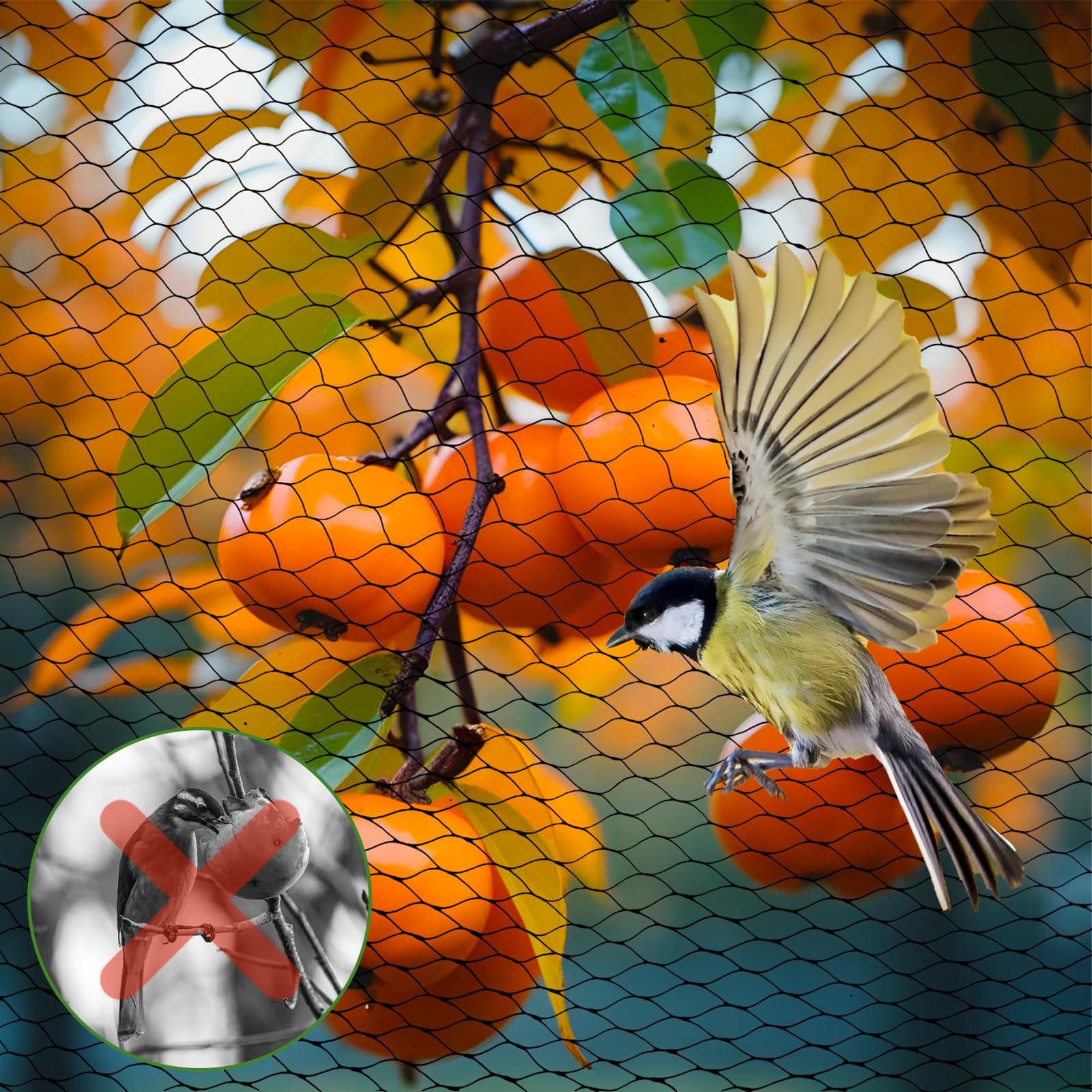 Vaskula Filet Anti Pigeon Ouverture 0,78x0,78 Pouces Filet Anti Oiseaux 4 x 15M Réutilisable Robuste avec 50 Attaches Cravates