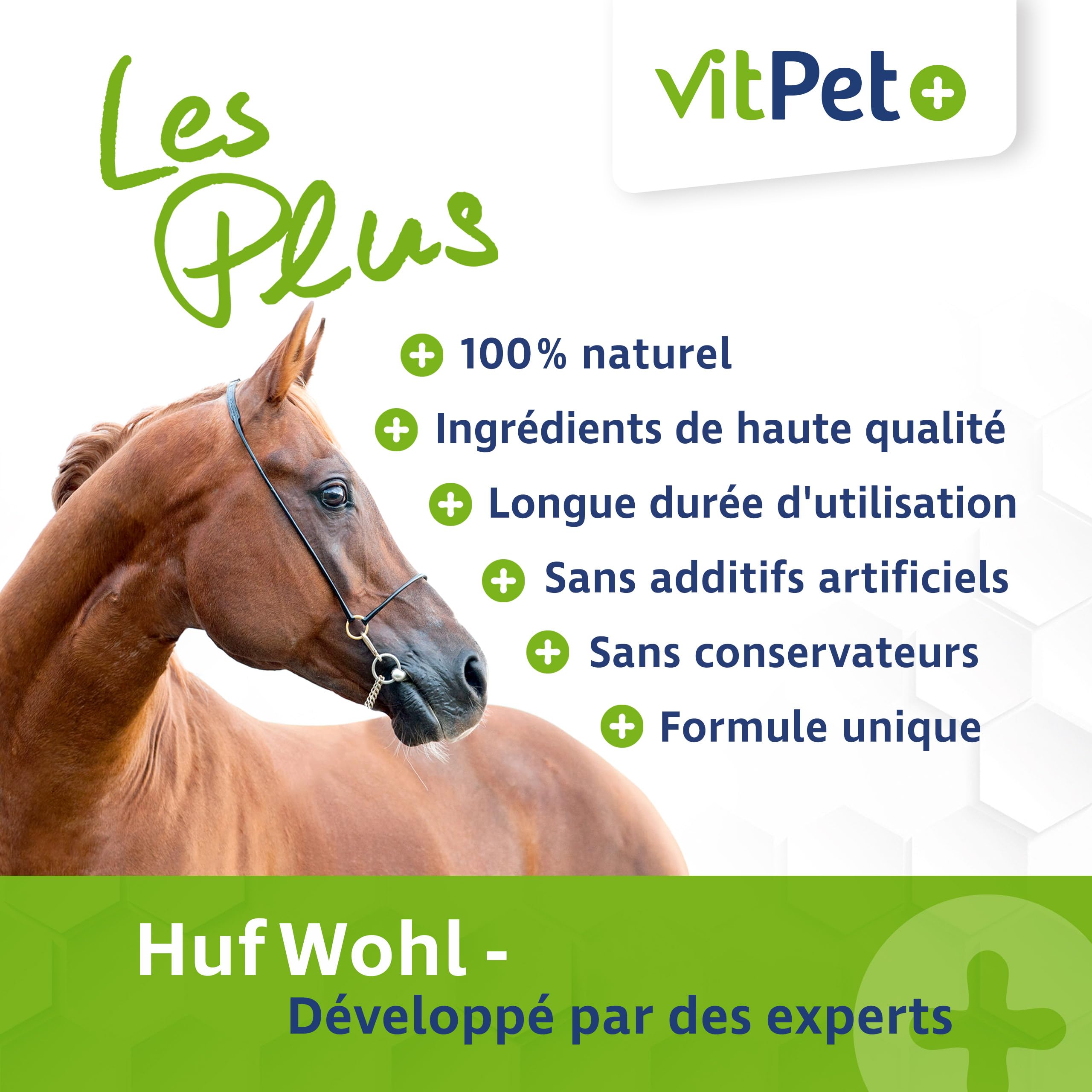 Huf Wohl - Alimento mineral especial para caballos, con biotina, zinc, tierra de diatomeas y levadura de cerveza, 4 kg, para apoyar el crecimiento de pezuñas, incluye cuchara dosificadora