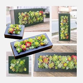 Amazon｜多肉植物 造花 寄せ植え ギフト 多肉フェイクグリーンBOX （M