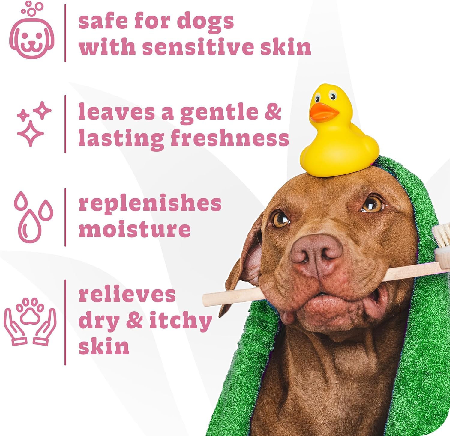 Espree Simple Soothe Shampoo & Conditioner with Baking Soda, Soothing Shampoo for Dogs, Jojoba Oil Formula, Nourishing Dog Conditioner, Puppy Essentials, Gallon