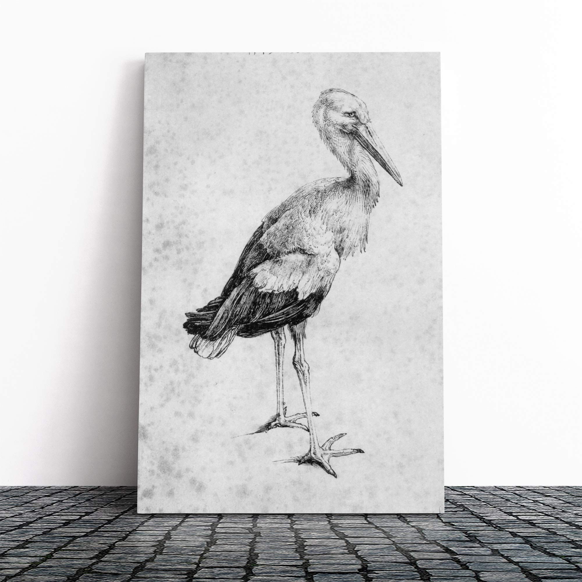 Albrecht Durer Stork Canvas Print | Gallery Wrapped 30mm Frame Wall Art | 30x20 inches | Ready to Hang | Modern Picture | Living Room Bedroom Lounge Office