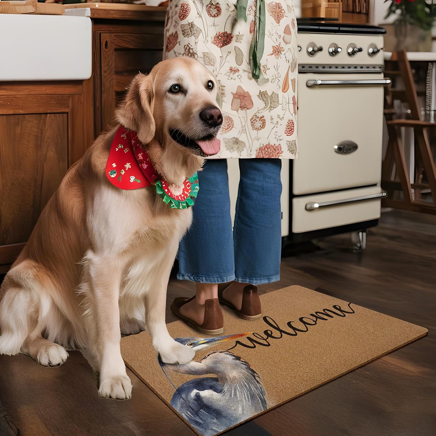 Funny Welcome Door Mat, Heron Bird Doormat, Funny Welcome Front Door Mat Indoor Outdoor Entrance, Bird Artificial Coir Doormats Rugs for Porch Patio Entryway Home Room Decor 30x17in