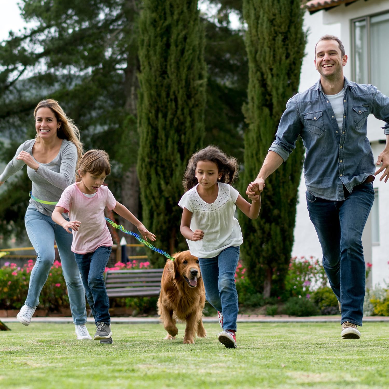 Correa para perro manos libres con elásticos, cinturón ajustable para correr con bolsa, costuras reflectantes, correa retráctil para entrenamiento de perros, senderismo, caminar, trotar