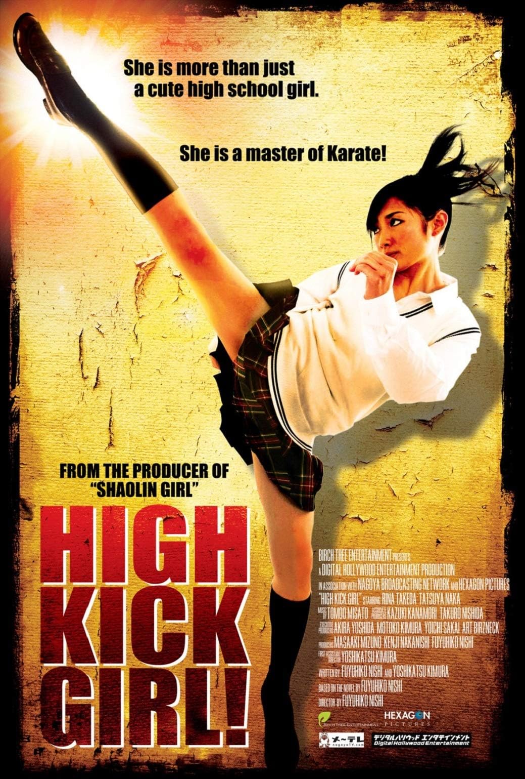 High Kick Girl movie DVD Fuyuhiko Nishi -VD7534A