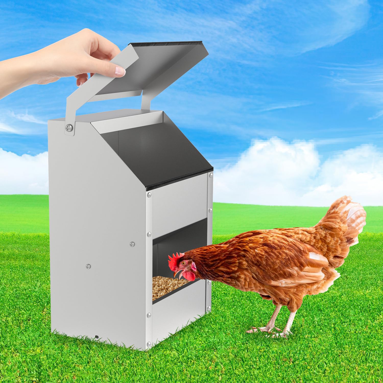Daromigo 4,5 kg automat do karmy dla kur – dozownik karmy dla kur, ocynkowanej stali z pokrywką, automat do zawieszenia na ścianie, dla drobiu, kur, kaczek