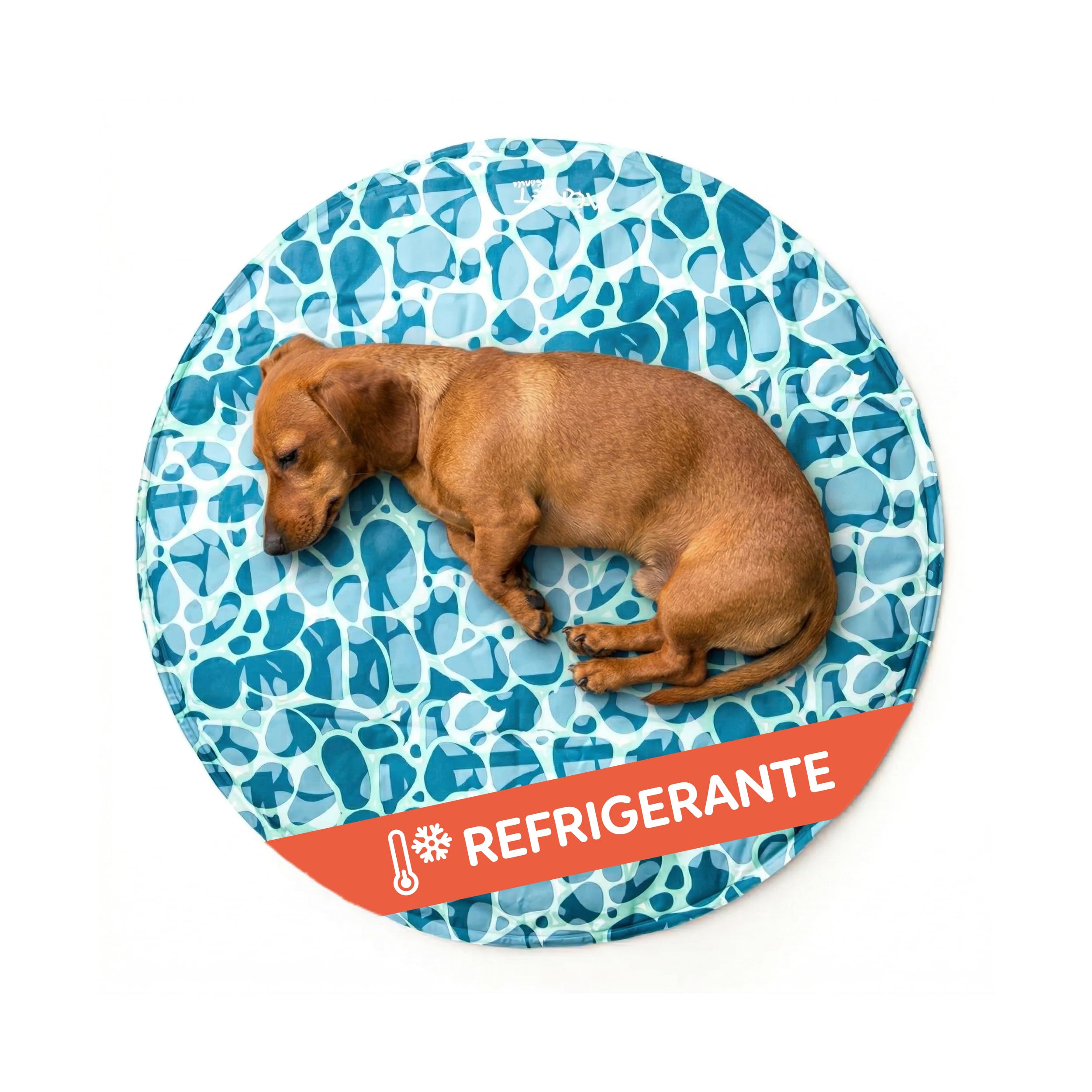 AQPET Tappetino Refrigerante Rinfrescante per cane forma Tonda, Gel non Tossico, sistema di Auto Raffreddamento, Fantasia Sea, Misura Diametro 60 Cm
