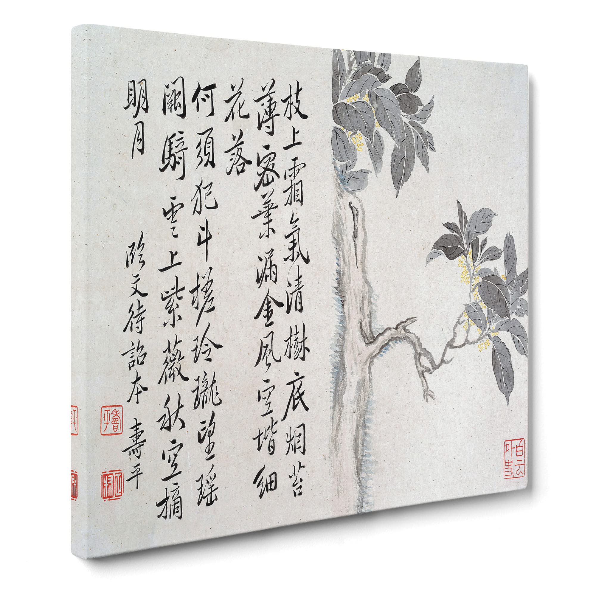 Cassia Tree by Yun Shouping Canvas Print, Mixed, 35L x 35W cm