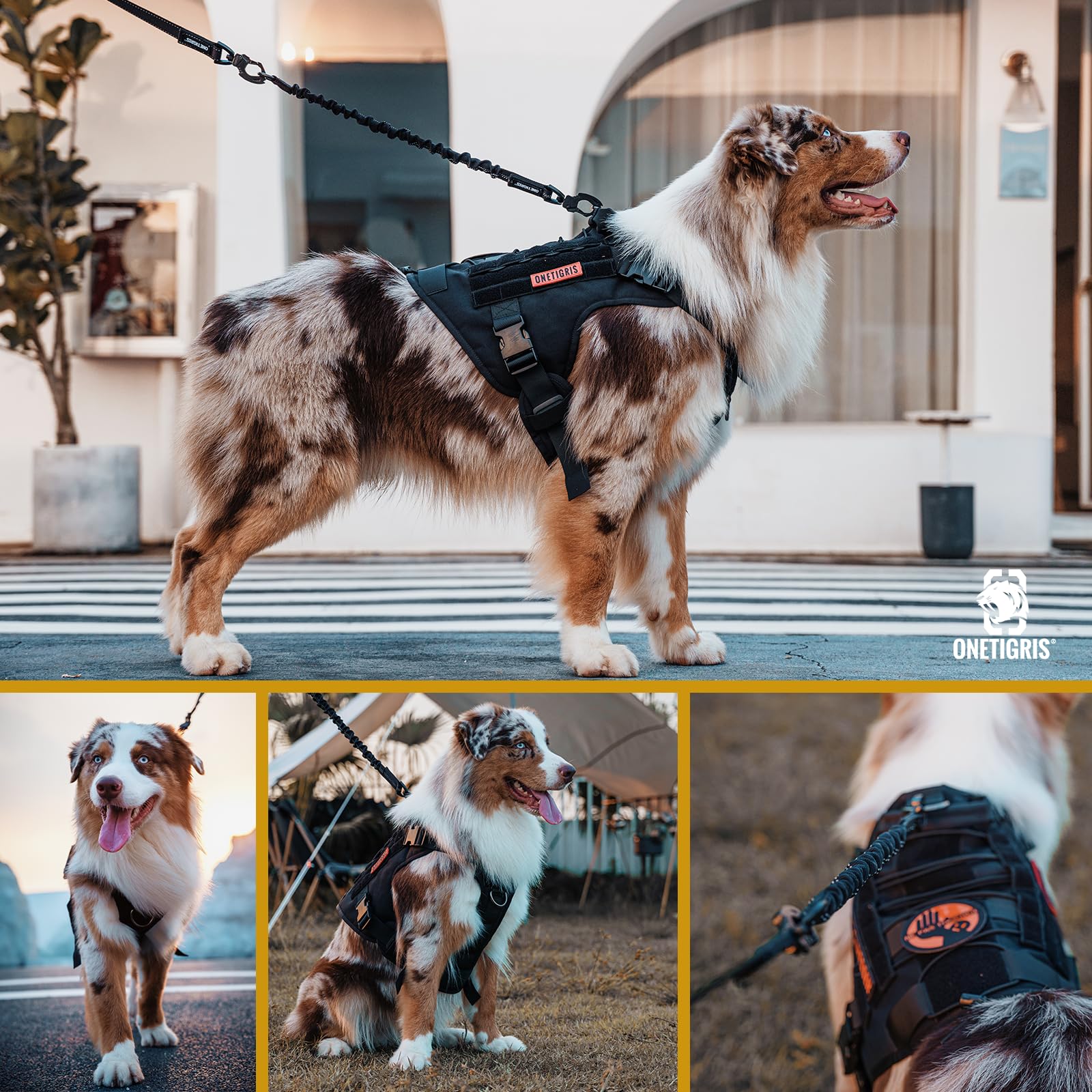 OneTigris Ammortizzatore per cani, 51 cm, guinzaglio in nylon con denti di tigre, clip in metallo, estensione in lino, riflettente per passeggiate, ciclismo