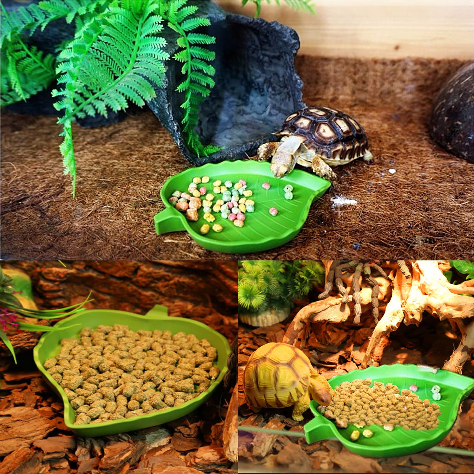 2 Pièces Bol d'eau de Nourriture Abreuvoir Tortue Plat de Reptile pour Petits Animaux domestiques, Lézard, Araignée, Scorpion (Vert)