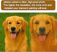 Vista 6 de Maydear Kits de pintura de diamantes personalizados para adultos – Foto personalizada para arte de diamantes, taladro completo 5D DIY Diamond Dotz