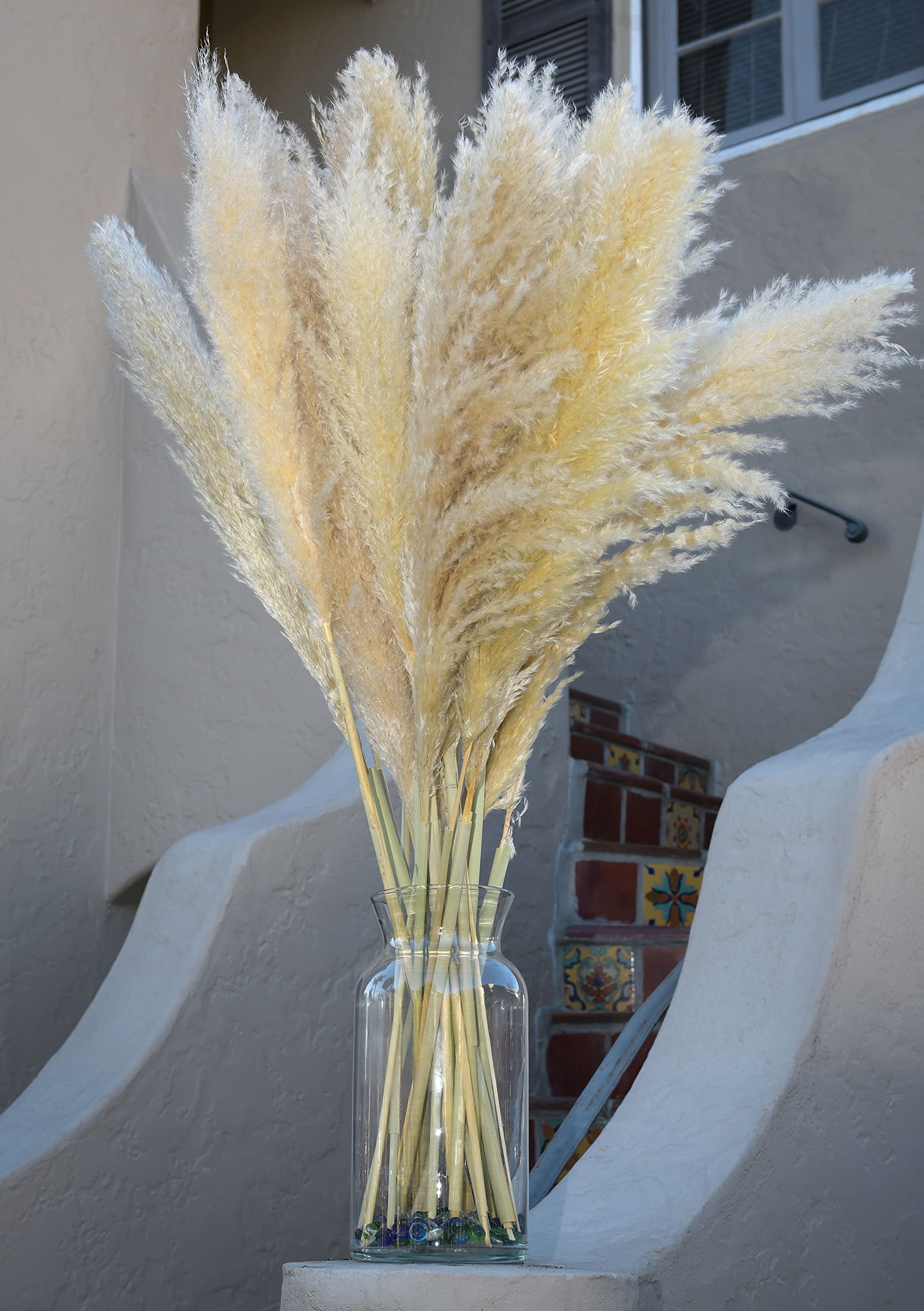 Decor Unicorn Natural Pampas Grass Large Fluffy 3 46” Stems of Large