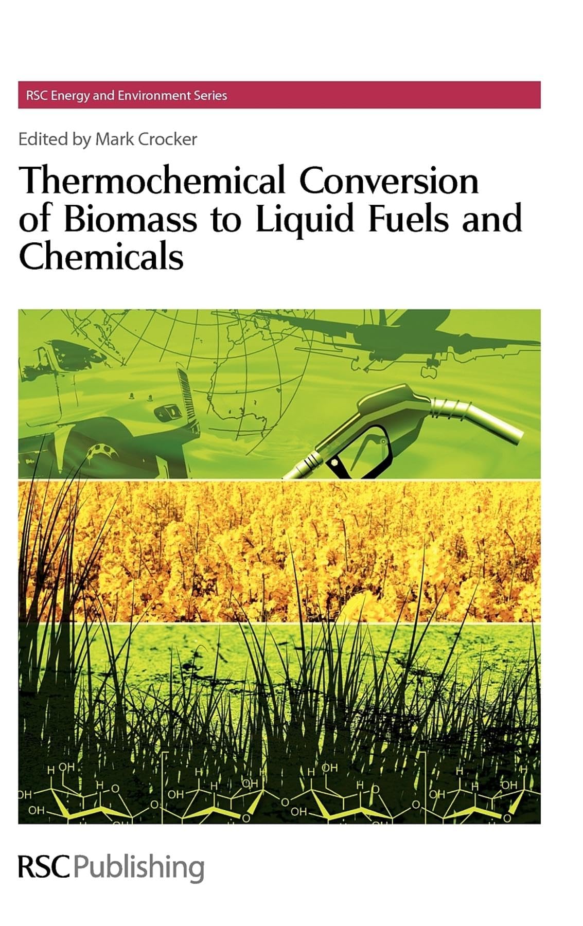 Thermochemical Conversion of Biomass to Liquid Fuels and Chemicals (Energy and Environment Series, Volume 1) 1st Edition