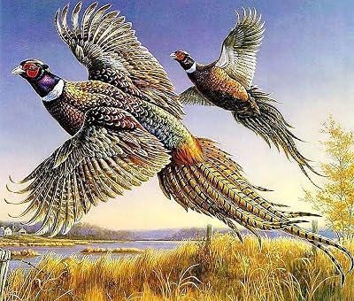 BBOLDIN 1000-Piece Autumn Pheasant Jigsaw Puzzle For Adults – Fall Animal Scene, 27.6x19.7 Inches