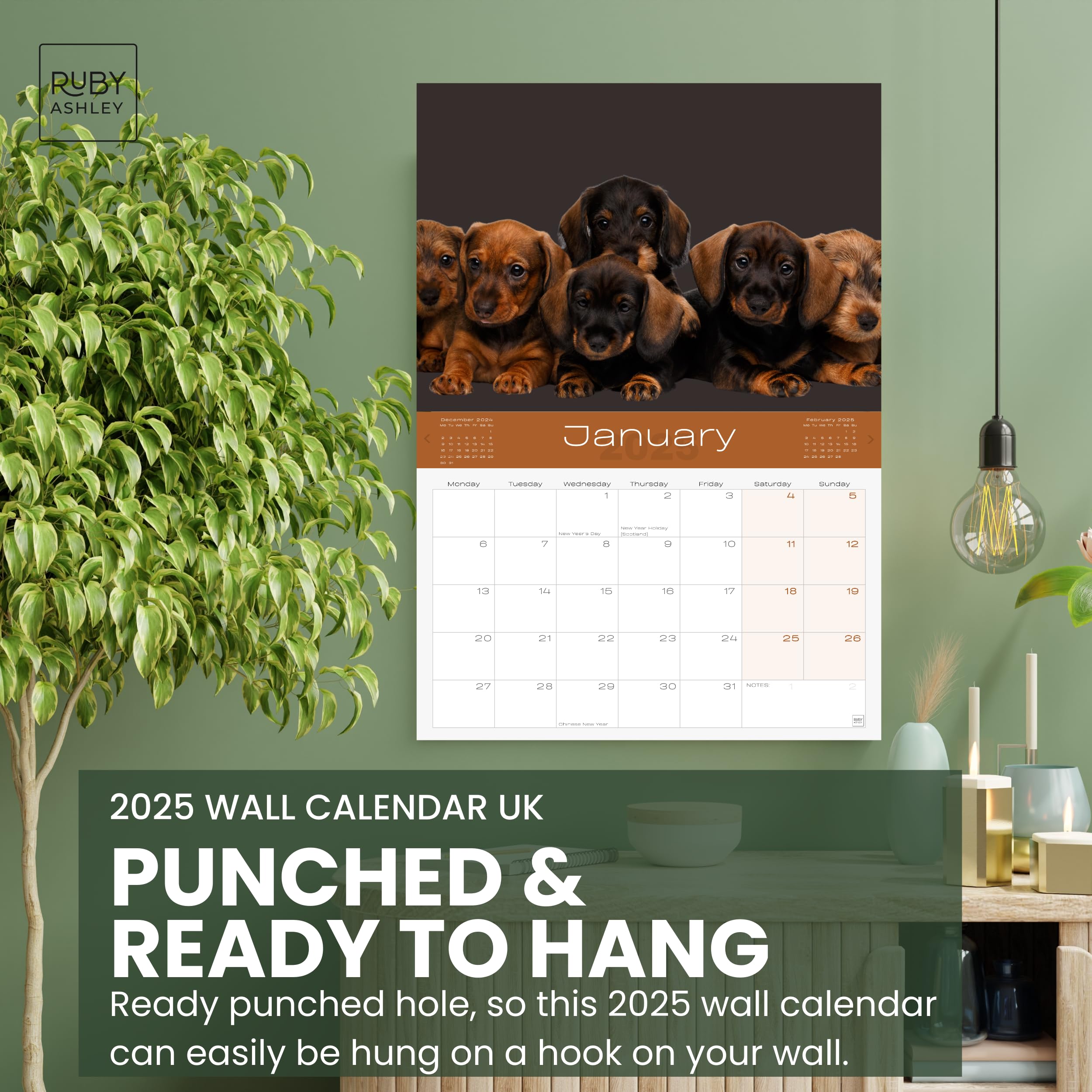 Dachshund Dogs Calendar 2026 - Sausage Dog & Puppy Wall Calendar UK - A4 to A3 with Space for Notes - Printed in the UK by Ruby Ashley® - Image 4