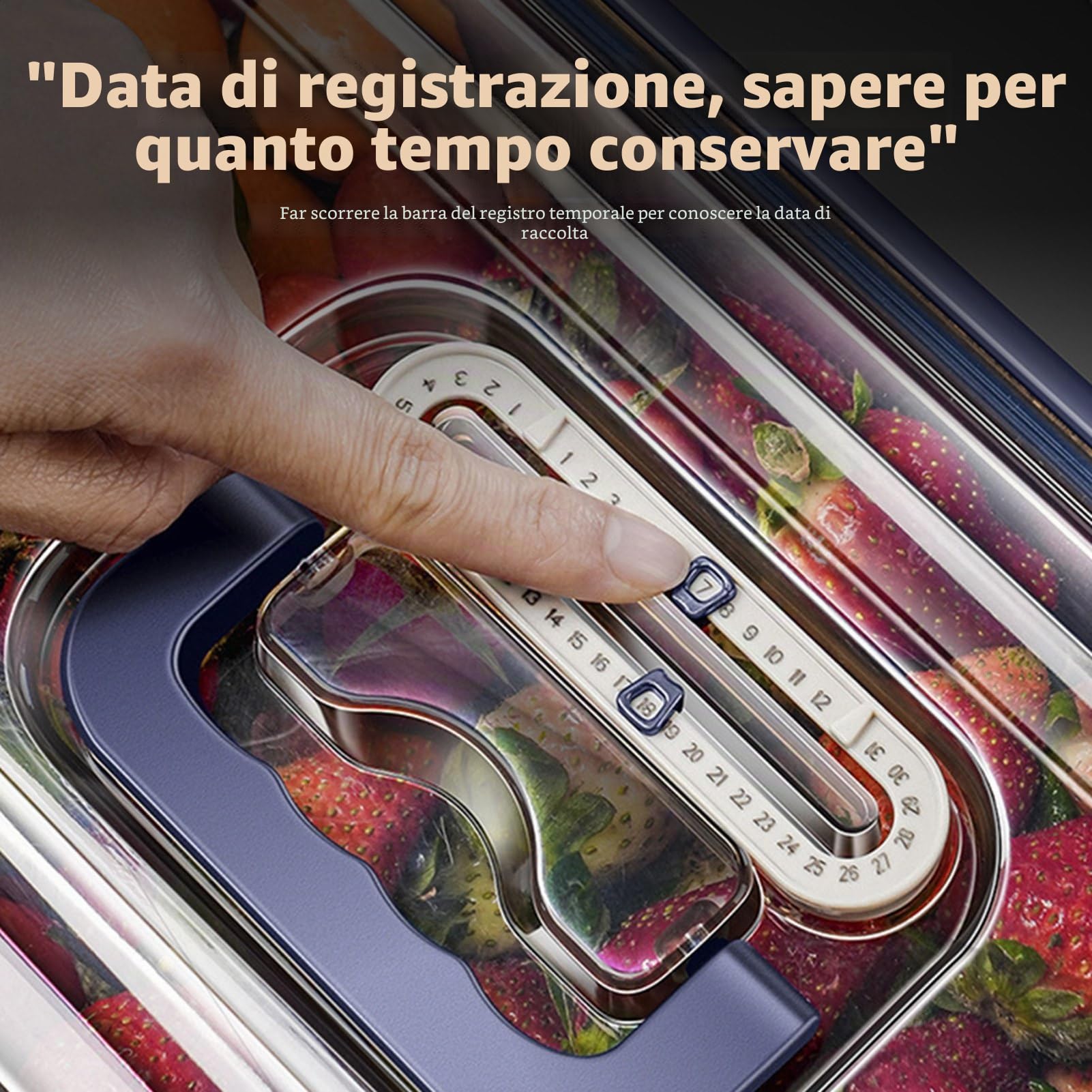 Kavolet Contenitori salvafreschezza in acciaio inox da 5,6 l, con coperchio, ermetici, a prova di perdite, con indicazione della data, anello di tenuta, manico nascosto, adatti al forno e al microonde