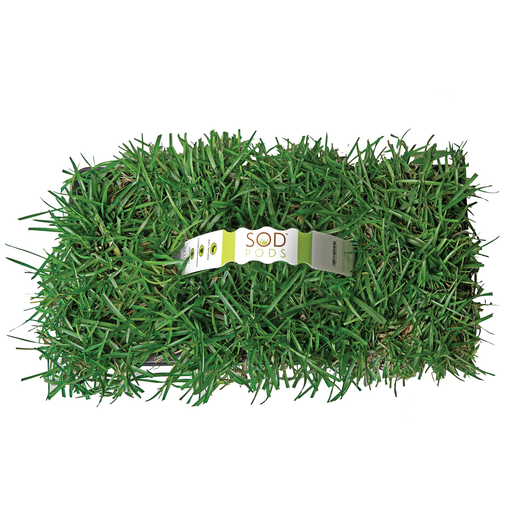 SodPods Centipede Grass Plugs