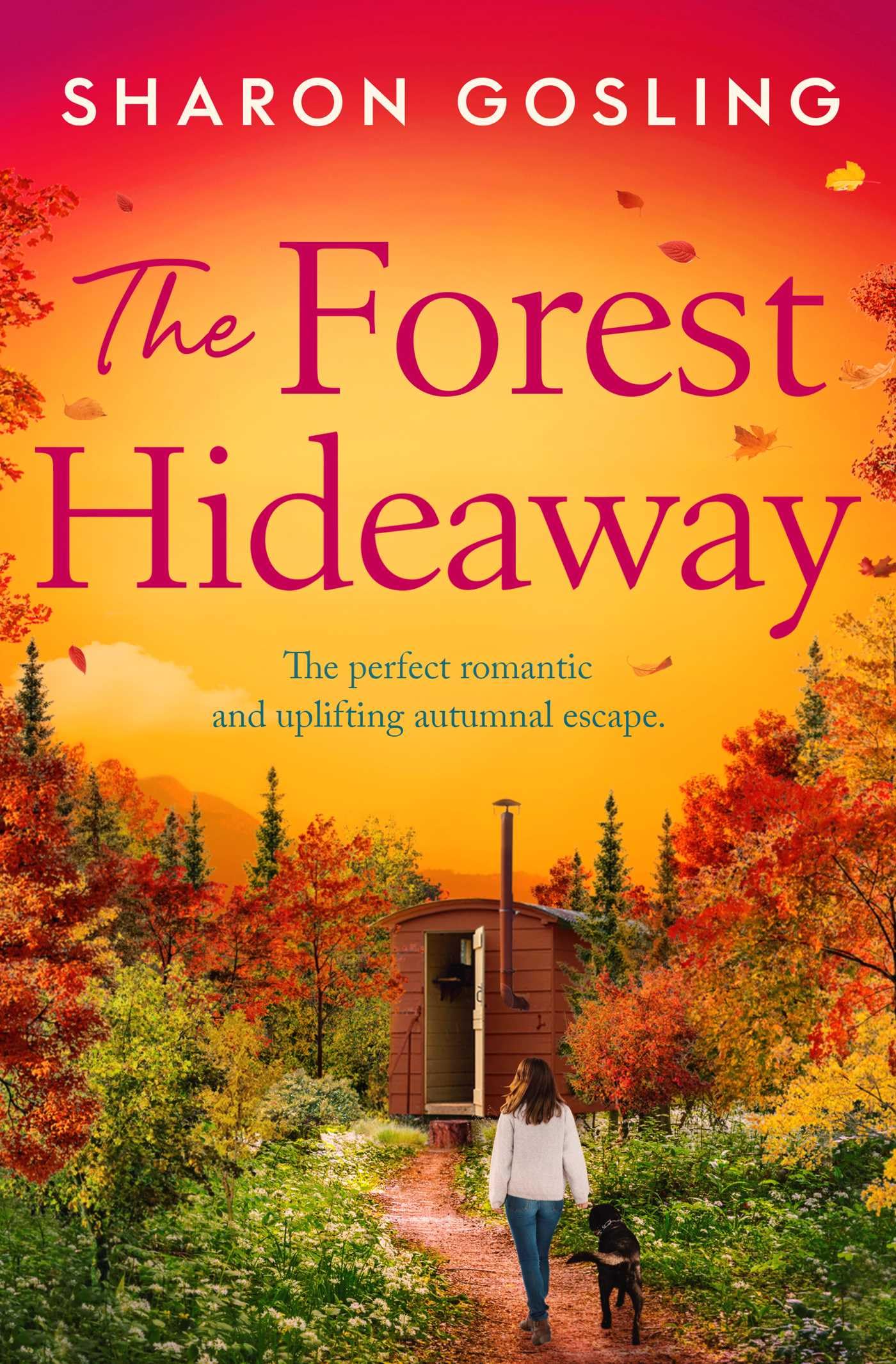 The Forest Hideaway by Sharon Gosling Paperback