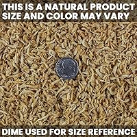 Vista 5 de San Francisco Bay Brand Alimento de plancton liofilizado para peces – Potenciador de color natural para todos los peces de agua dulce y salada