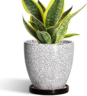 Ceramic Plant Pots - 6 Inch Planters for Indoor Outdoor Plants, Round Pl...