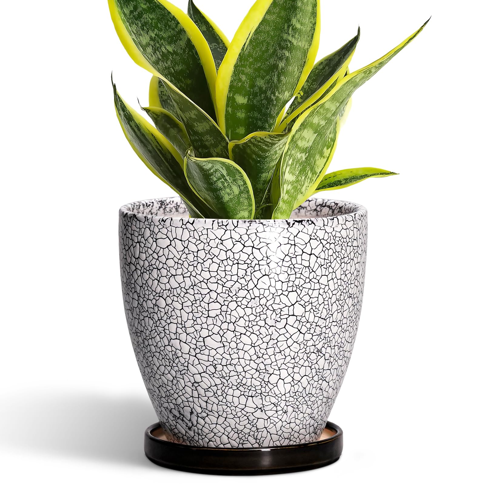 EPFamily black wood crack ceramic planter