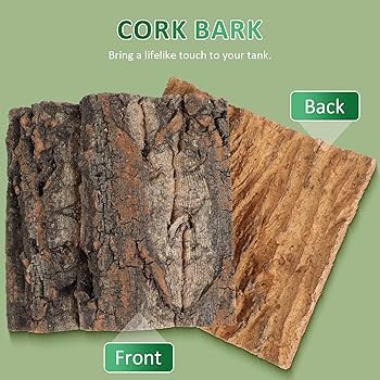 Homoyoyo 4pcs Cork Bark Background For Reptile Tank Decor Safe Material Tree Bark Accessories For Lizard Frog Bearded Dragon Natural Habitat Decoration