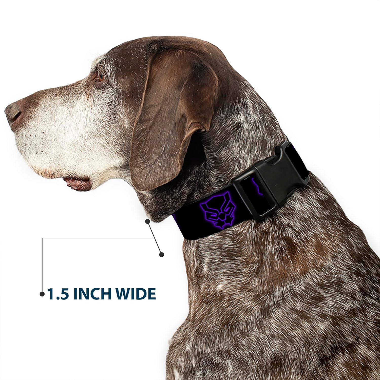 Marvel Comics Pet Collar, Dog Collar Plastic Buckle, Black Panther Avengers Icon Outline Black Purple, 13 to 17 Inches 1.5 Inch Wide