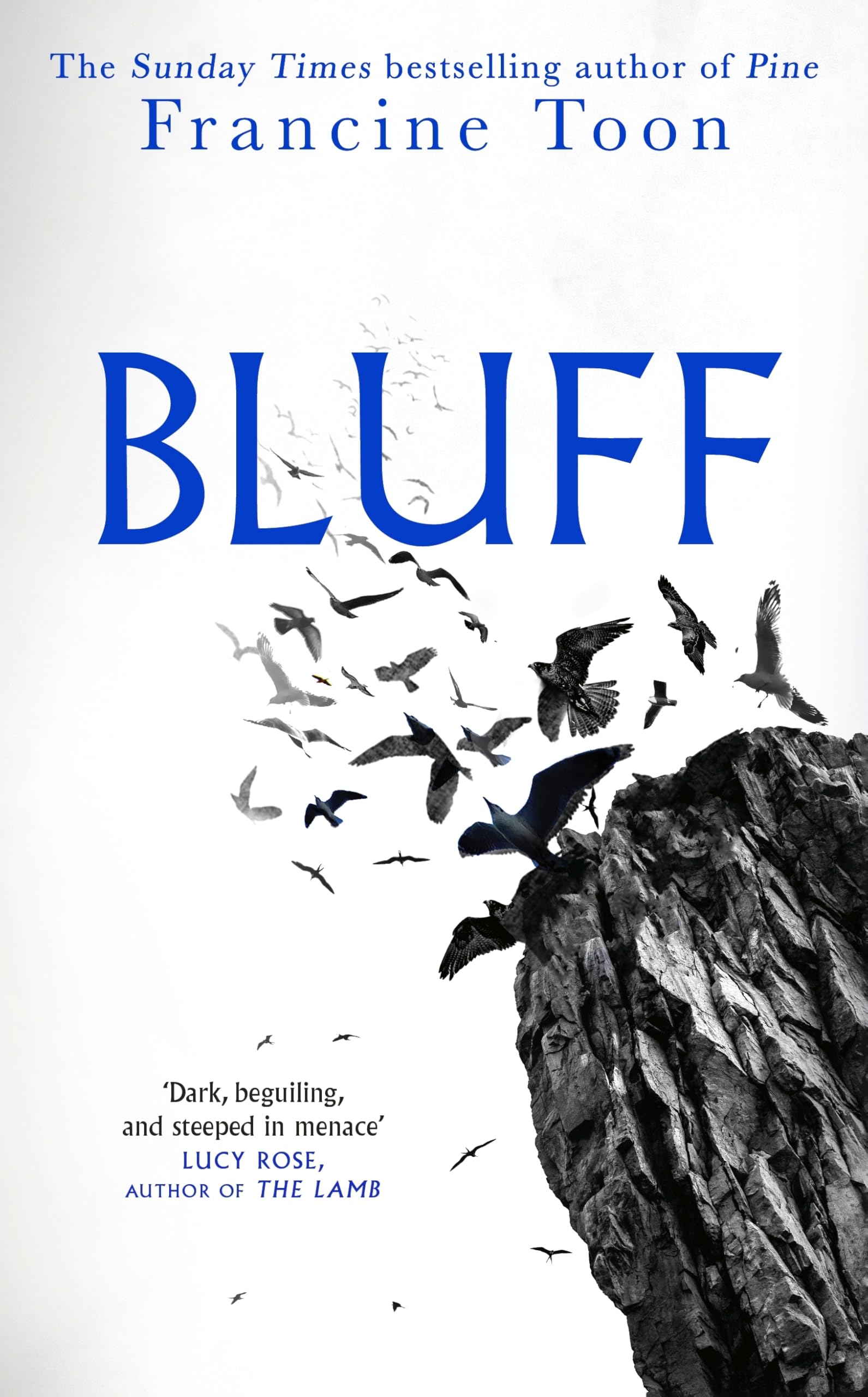 Bluff: The chilling gothic mystery from the Sunday Times bestselling author of Pine