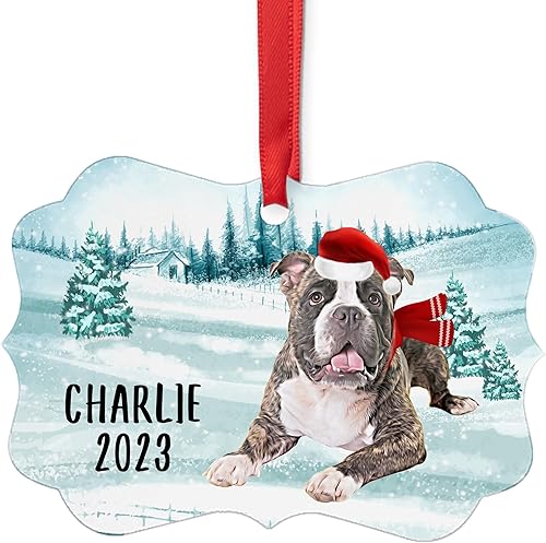 Santa Hat and Scarf Welcome Winter Striped American Bully Personalized Christmas Ornaments 2023 Benelux Aluminum Puppy Owner Gifts