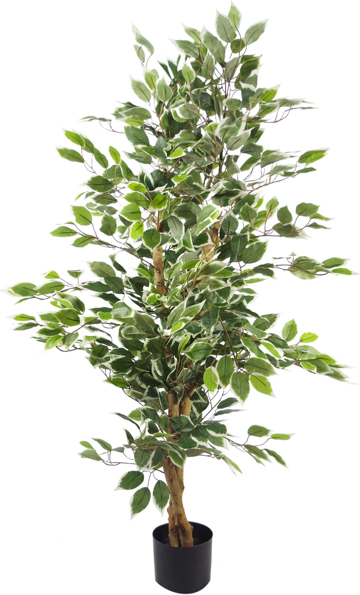 Leaf Artificial Ficus Tree/Plant, White Edge Bushy, 120cm