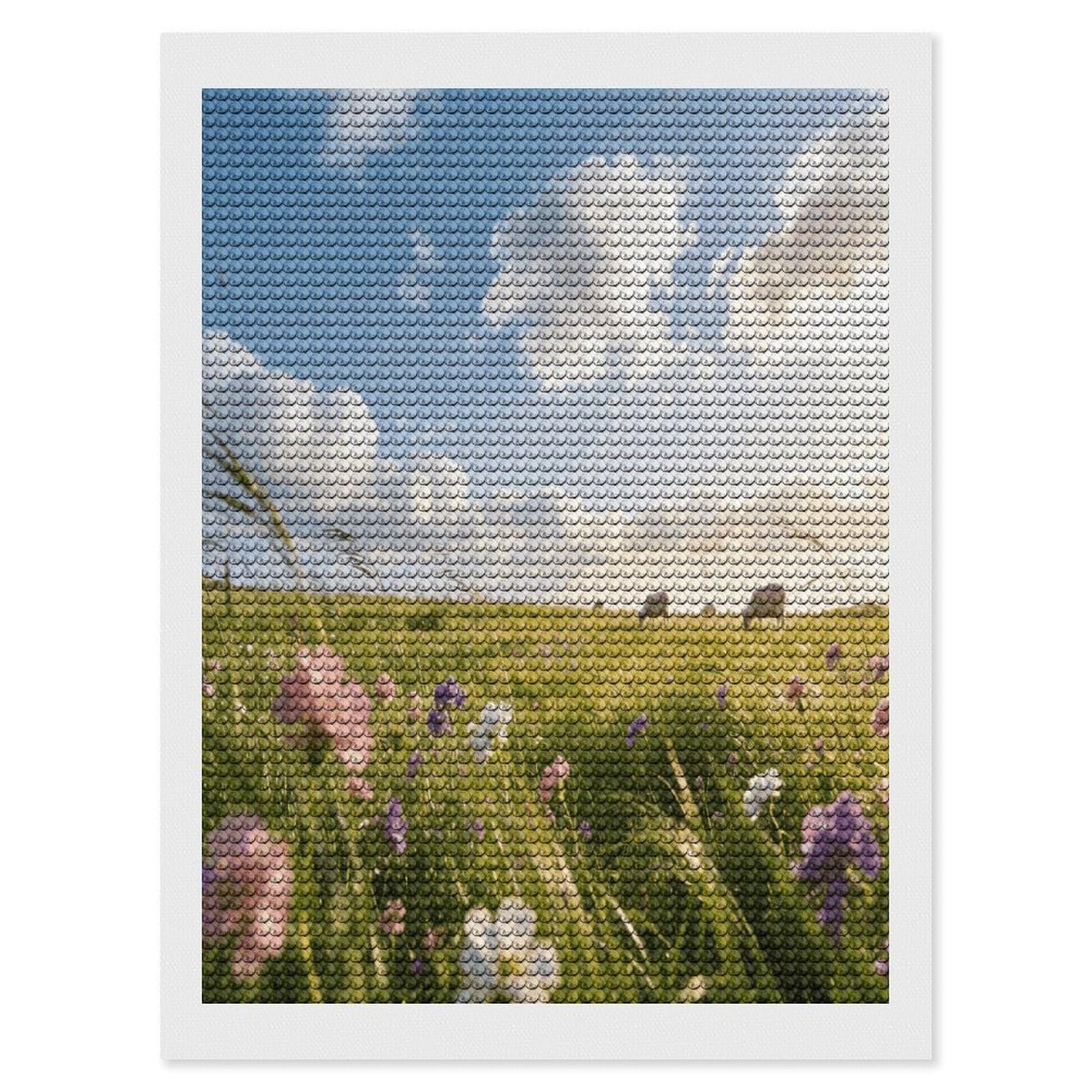 FekiLoot Meadow Paint by Numbers Kit for Adults Beginner DIY Diamond Dots Paintings Round Full Drill Diamond Art Kits Picture Diamond Art Painting Kits for Home Decor 12"x16"