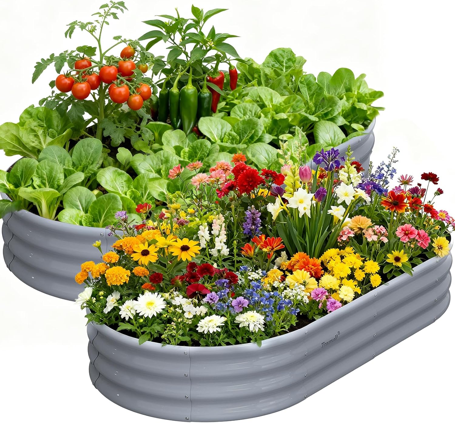 Tramull Galvanized Raised Garden Bed 6x3x1ft Oval Metal Planter 2-Pack - Tool-Free Assembly, Senior-Friendly, Rust-Proof for Veggies, Flowers, Herbs (Gray)