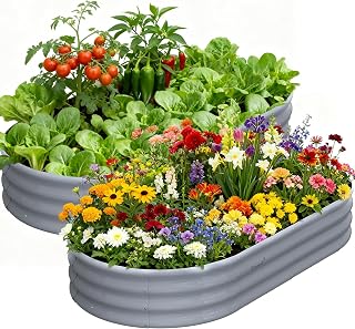 Tramull Galvanized Raised Garden Bed 6x3x1ft Oval Metal Planter 2-Pack - Tool-Free Assembly, Senior-Friendly, Rust-Proof for Veggies, Flowers, Herbs (Gray)