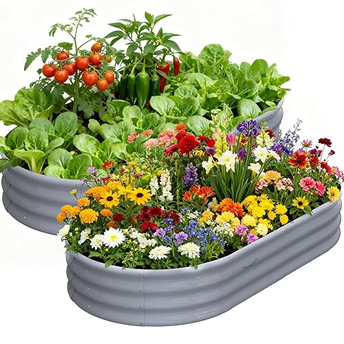 2 Pack 6x3x1ft Raised Garden Bed, 12" Tall Galvanized Metal