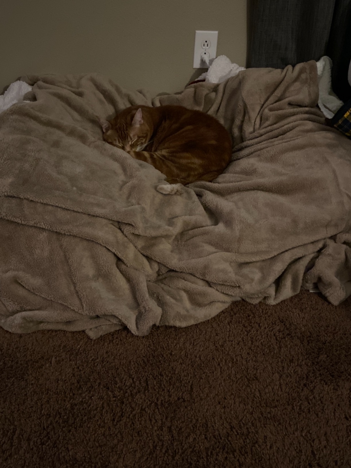 WarmZone Heat Reflective Blanket, Throw 50x70, Khaki