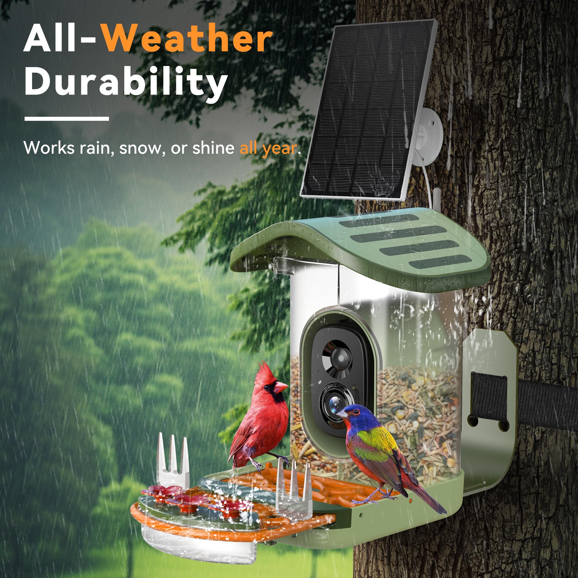 Rayki Smart Bird Feeder with Camera Solar Powered, 2k Hd Live Video & Ai Identification 10,000+ Bird Species, Outdoor Watching Birdhouse for Garden,