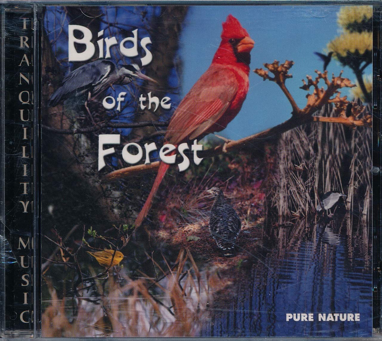 Birds Of The Forest [Audio CD]