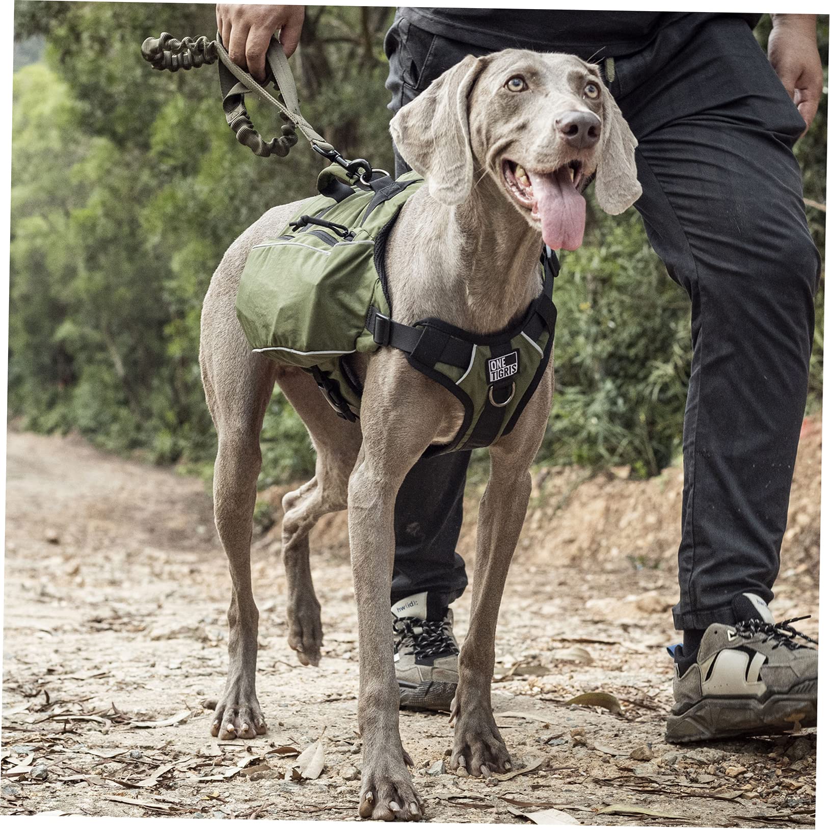 OneTigris CAMELUS Mochila para perros, para camping, senderismo, para perros de tamaño M/L (L, verde Ranger)