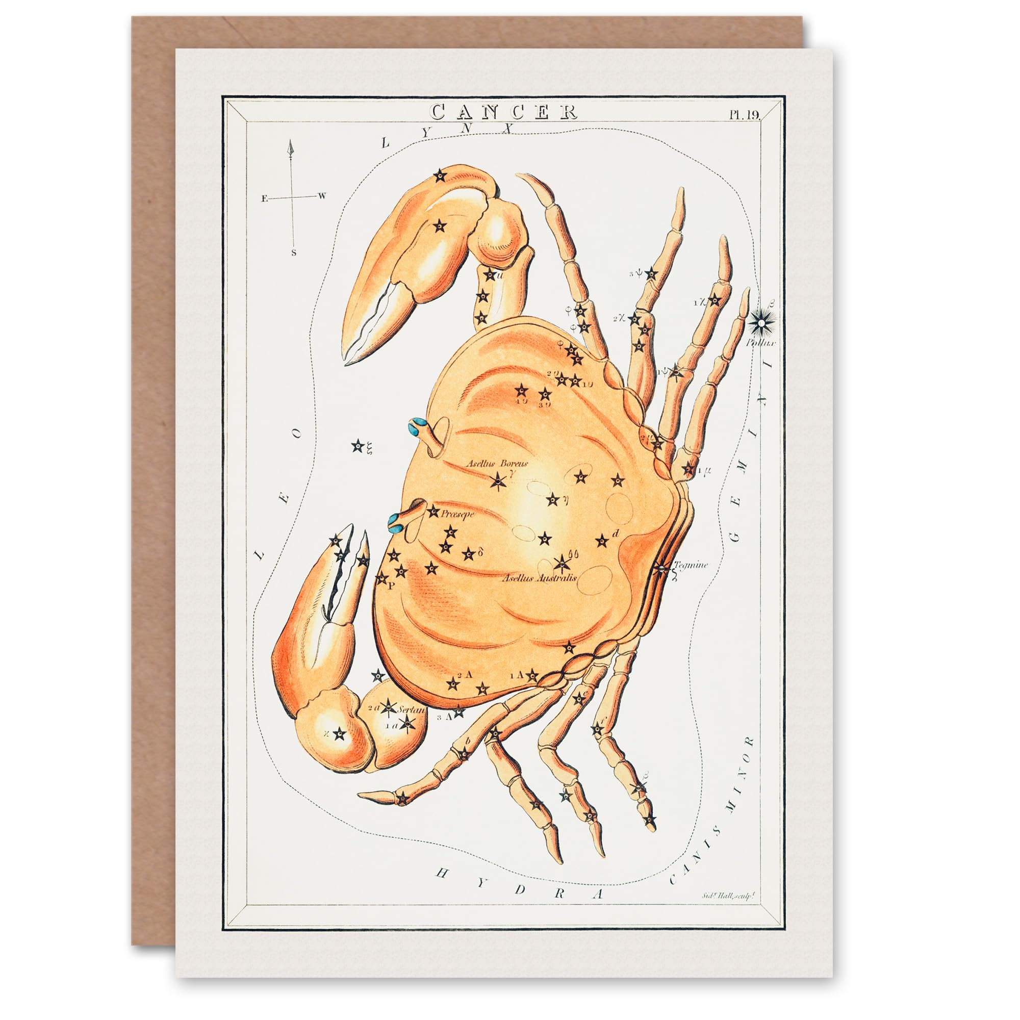 Artery8 Greeting Card - Cancer Constellation Illustration - White