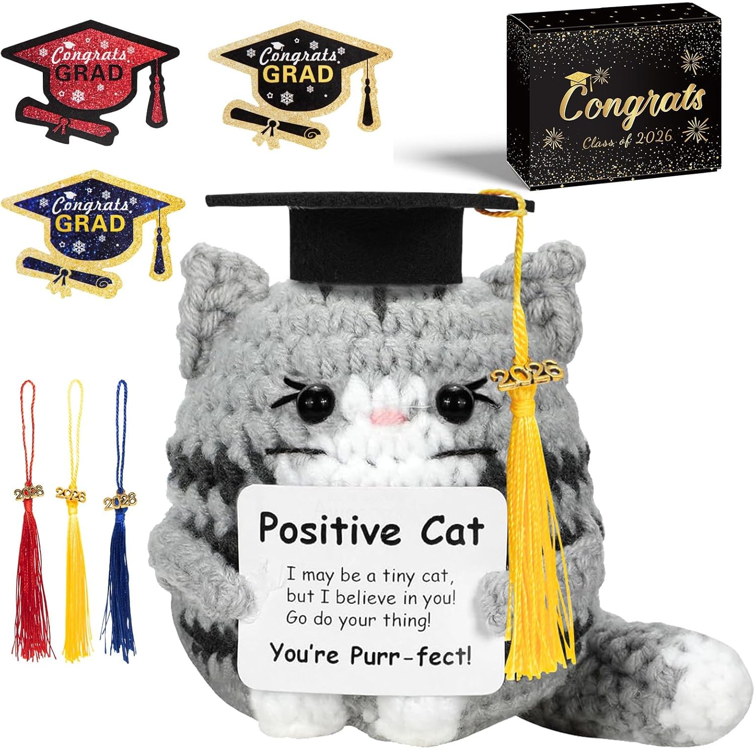 IrichBa Graduation Gifts 2026 for Her Him – DIY Graduation Cat Plush with 3 Replaceable Tassels, Graduation Cap & Card - Funny Emotional Support Gift for Class of 2026 High School College Grad