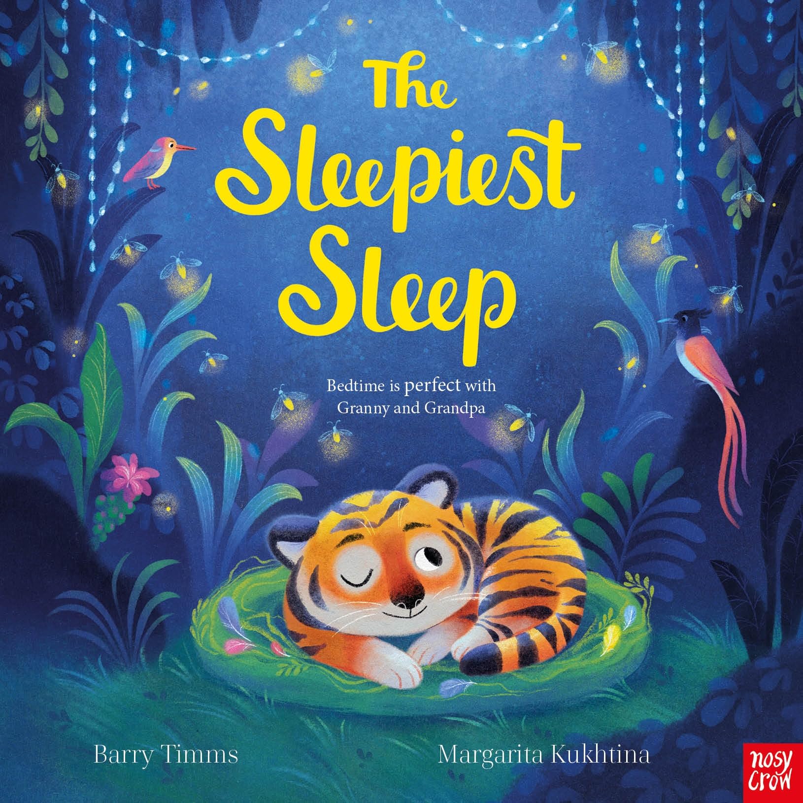 The Sleepiest Sleep by Barry Timms PAPERBACK 9781839943300