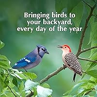 Vista 7 de C&S CS750 EZ Fill Comedero de bocadillos de lujo TM/sebo, Verde