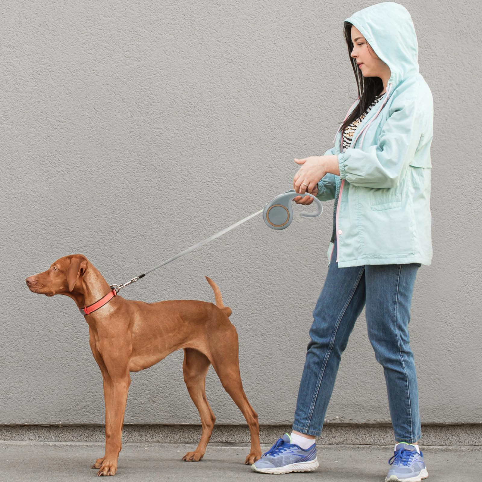 Leine Hund Ausziehbar, Weich Leine, Schleppleine für Kleine mit Pausensperre, Einhandbremse, Pause, Sperre, 5M (Grau)