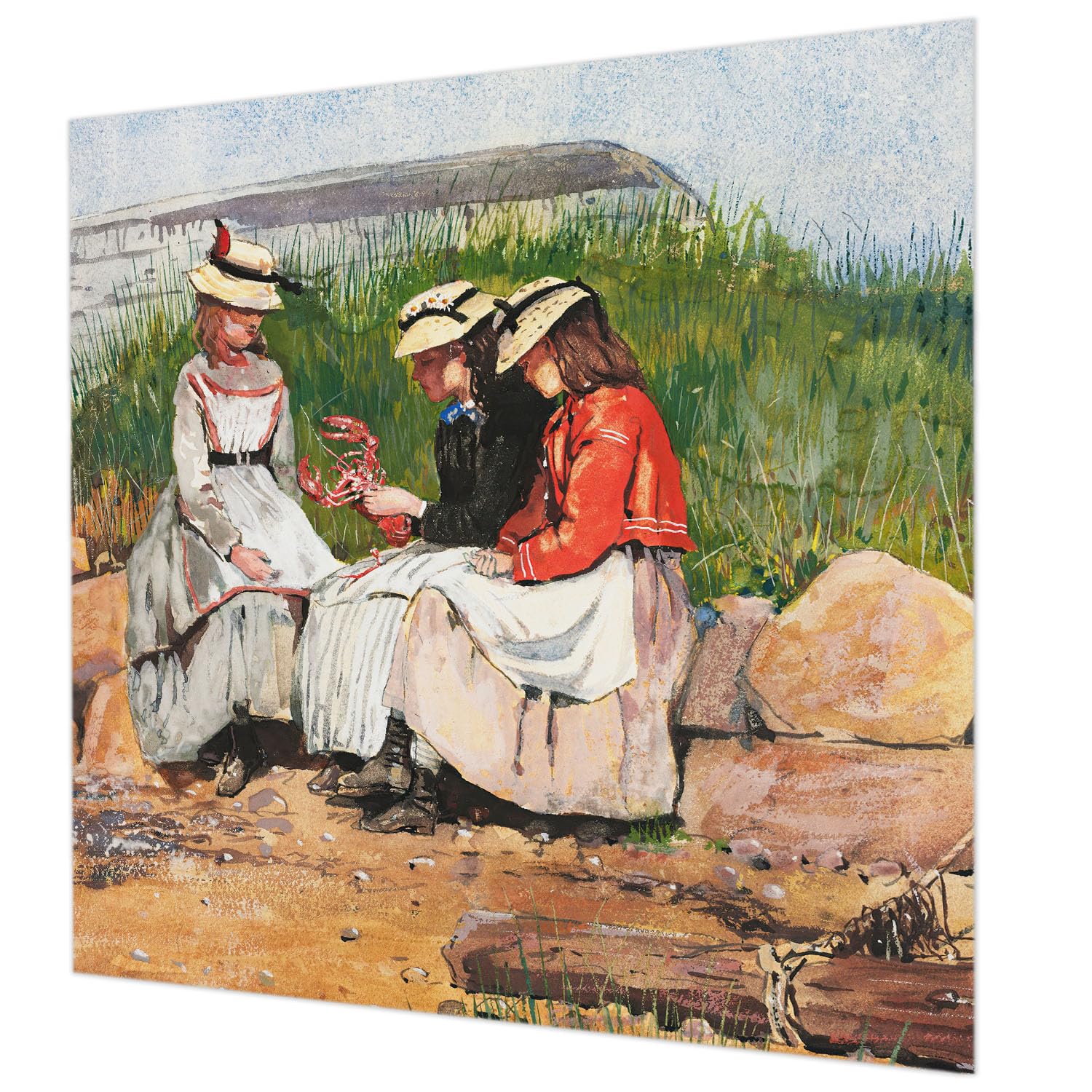 Pose murale facile pour ce décor mural intissé Tulup 250x250 cm avec colle incluse pour salon