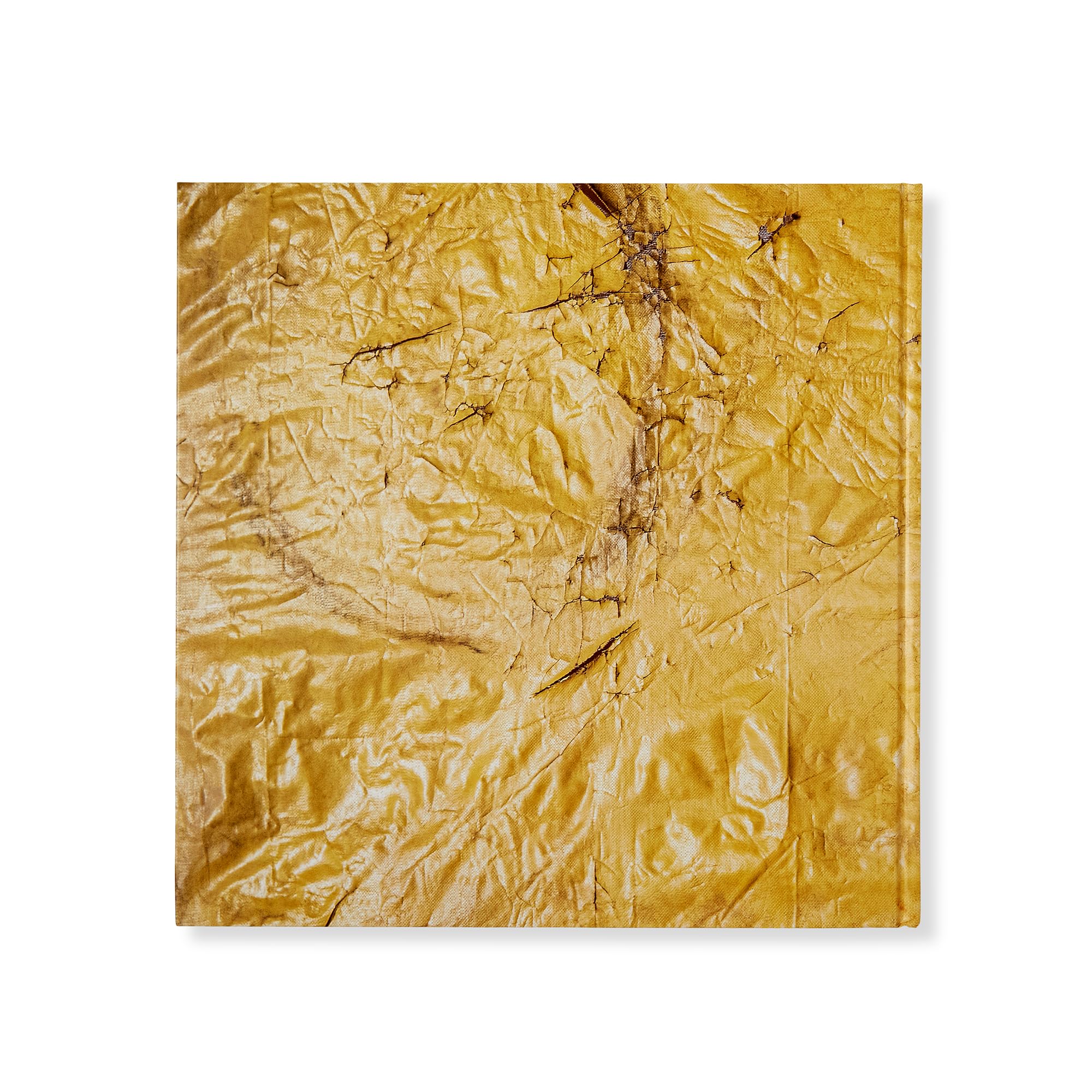 David Hammons