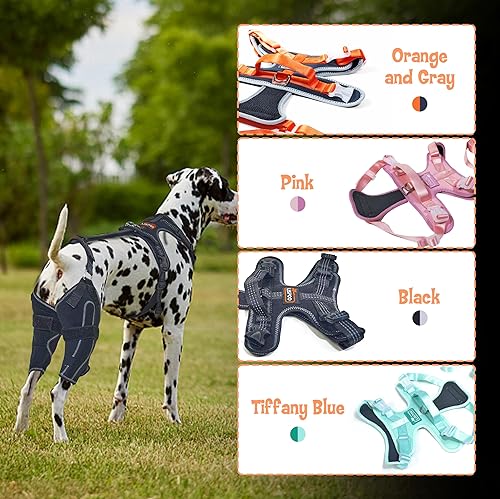 Miniatura 3 de Rodillera para perro ACL soporte para patas traseras para perros lesionados, soporte ajustable para piernas de perro para estabilidad de la pierna