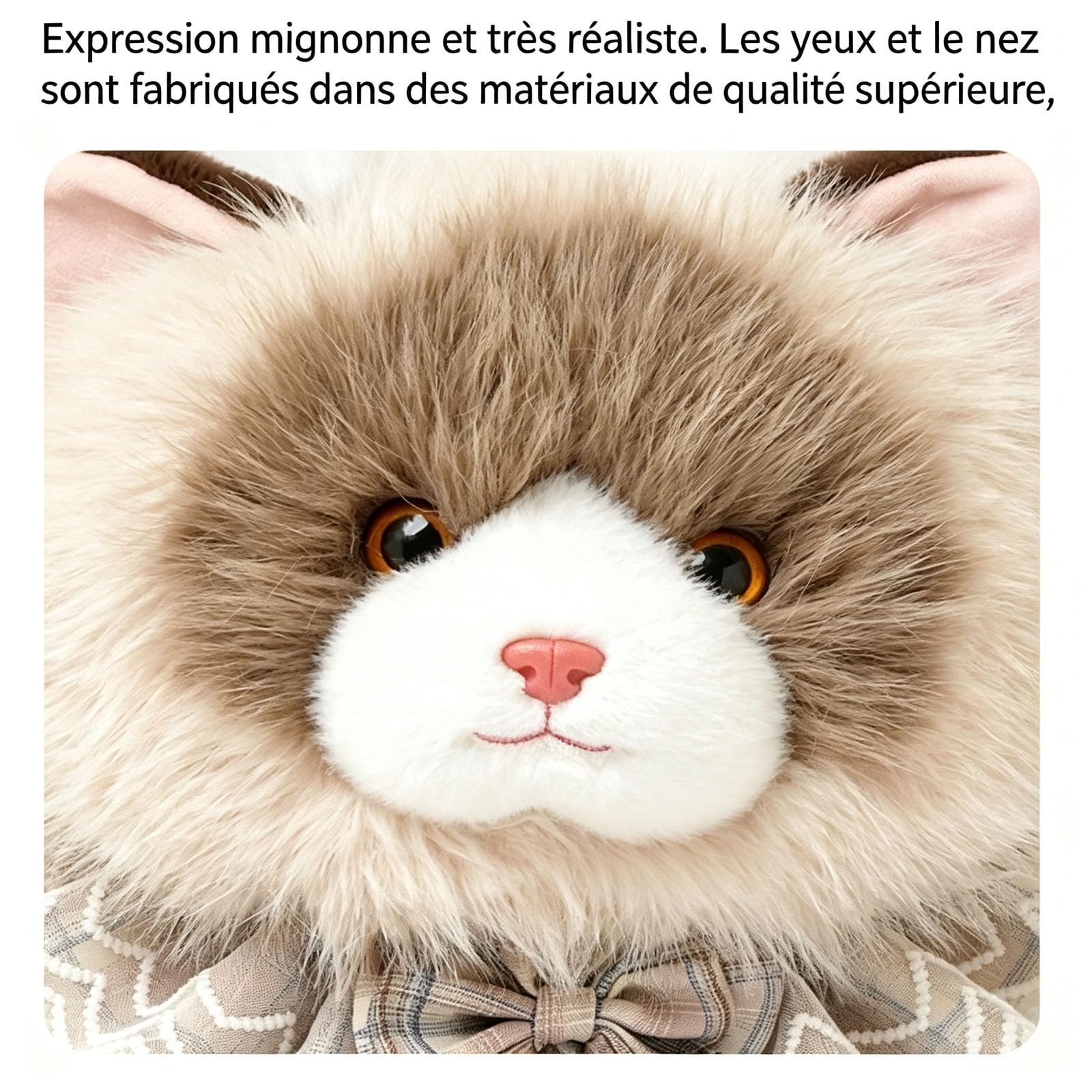 AMOSIJOY Peluche Chat Ragdoll, Réaliste Peluche Chaton Lestée, Moelleuse et Douce (B,65cm)
