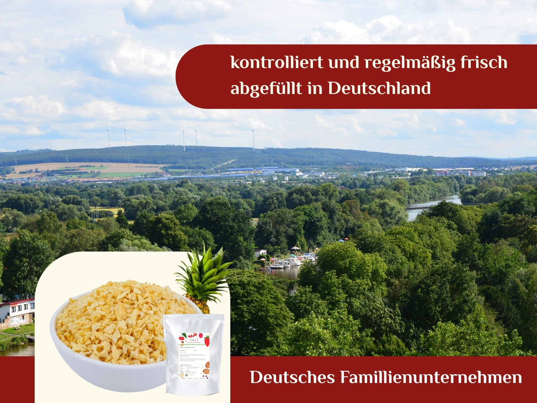 TALI Ananasstücke gefriergetrocknet 1 kg | Größe: 2-10 mm
